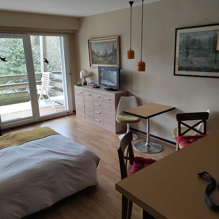 Residence Le Faucon - Col Du Donon Grandfontaine  Ngoại thất bức ảnh
